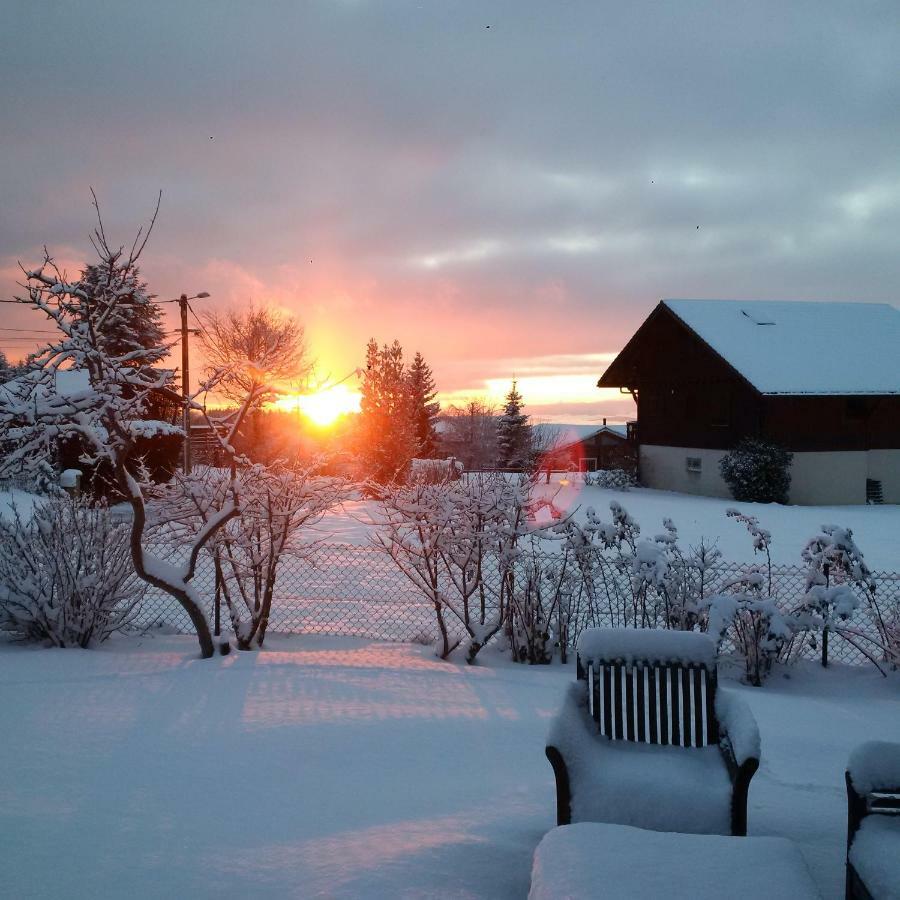 Chalet Les Aigles Saint-Sixt Экстерьер фото